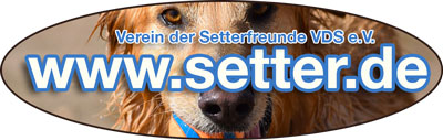 Setterfreunde